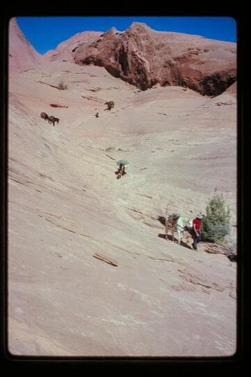 Down from over the top trail into basin north of Sid Whiskers Butte