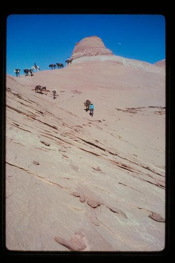 Trail off top into basin north of Sid Whiskers Butte