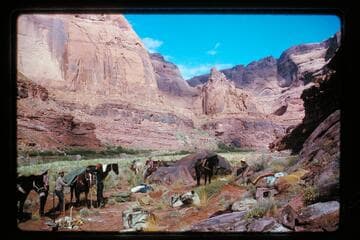 Camp opposite Hole in the Rock