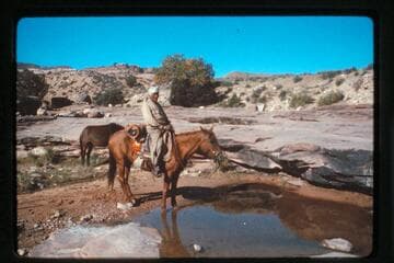 Sid Whiskers; Cha Canyon