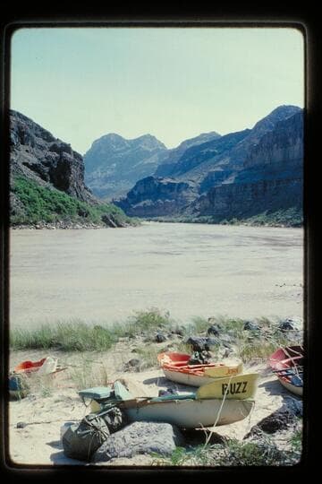Yaks at foot of Whitmore Trail