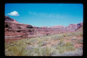 Up river from Mile 84, left bank