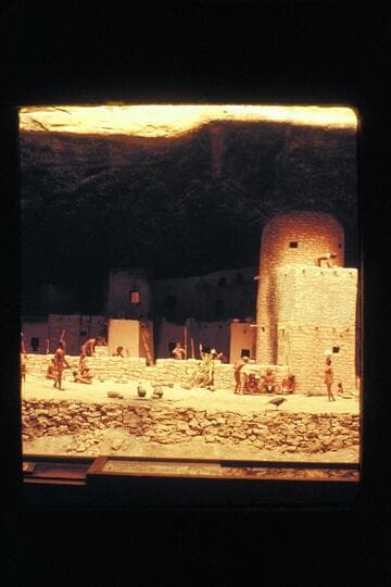 Cliff dwellers. Close-up