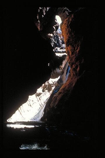Fall in cave; Travertine Creek