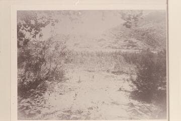 Rock slide.  Brown-Stanton survey