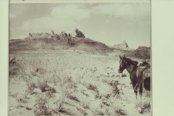 The Crouching Camel.  Southwest of end of Cummings Mesa and head of West Creek