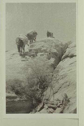 Route of descent into Escalante River. Dave Rust party crossing from Hole-in-the-Rock to Waterpocket Fold