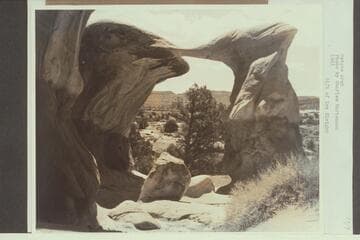 Metate Arch