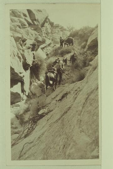 Trail to Rainbow Bridge;  Roosevelt-Wetherill party