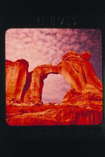 Pegasus Arch