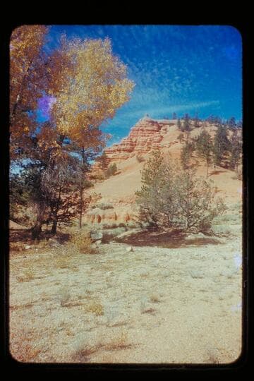 Utah