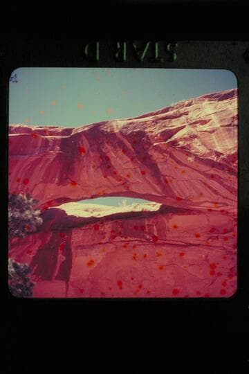 [natural bridge]