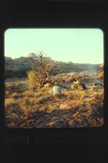Navajo Canyon