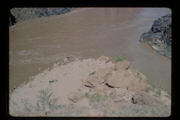 Yaks on beach; Travertine Creek