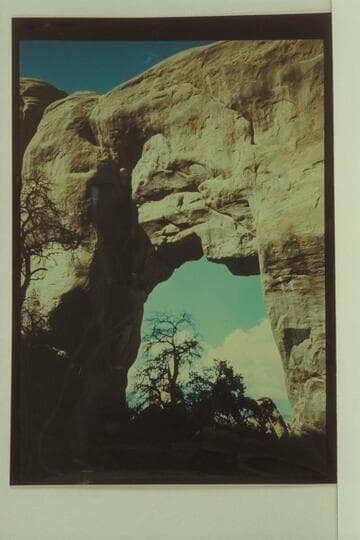 Pine Tree Arch, Arches National Monument
