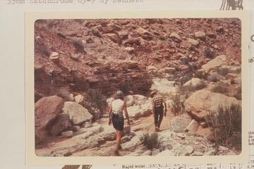 Jean and Hal Bennett searching for fossils and flowers near Cross and Y Canyons