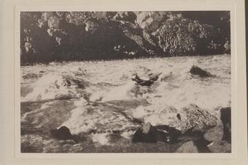 In the Grand Canyon.  Sixth Rapid above Bass Trail--about Three Miles up