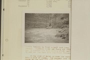 Dark Canyon Rapid from the right bank