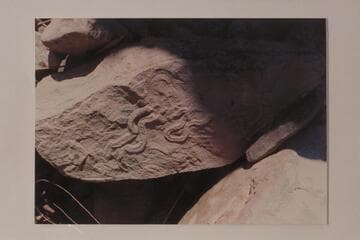 Up the Colorado River about five miles above the Confluence. Taken during a cruise 1966, Sep. Snake Fossil