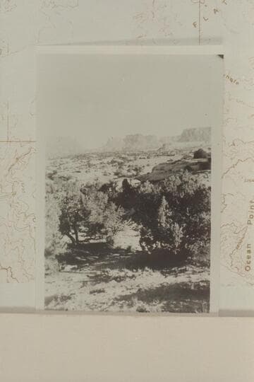 Chaffin Camp.  Water Hole Flat