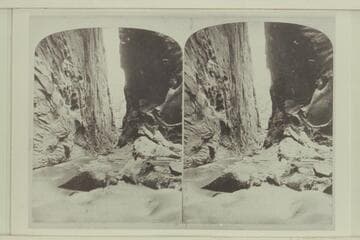 "Views on the Rio Virgin"