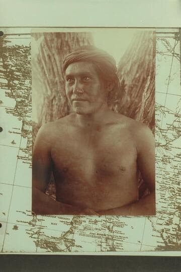 Indian of the Cocopah tribe of the Colorado Delta Mud dwelling Indian.  Daub hair with mud for vermicide
