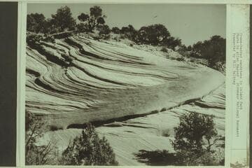 Cross-bedded sandstone in Island Park.  Dinosaur National Monument