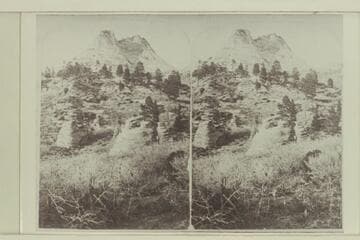 "Views in Southern Utah"; near view of Colob Cliff