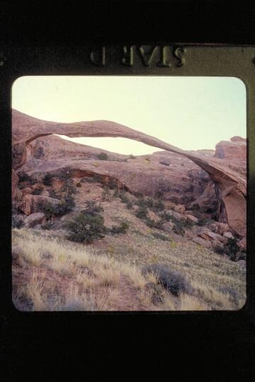 Arches
