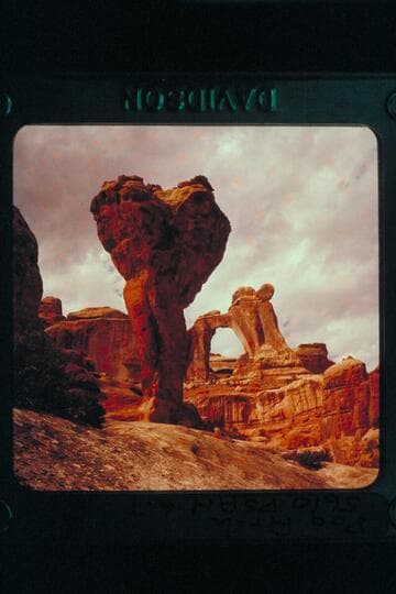 Pegasus Arch