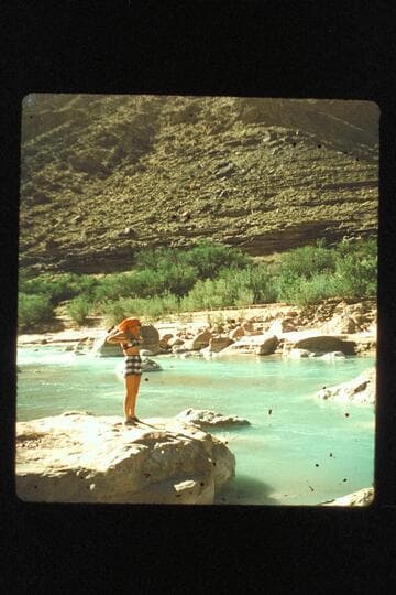 Maria Springer; Little Colorado
