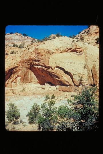 Cliff Dwelling
