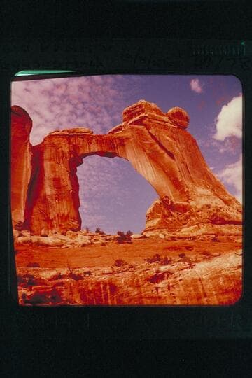 Pegasus Arch