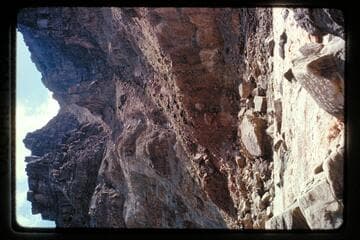 Head of rapid, no. 23