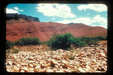 Open valley, Lava Creek