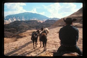 Navajo Mountain from trail west side of Nasja Creek
