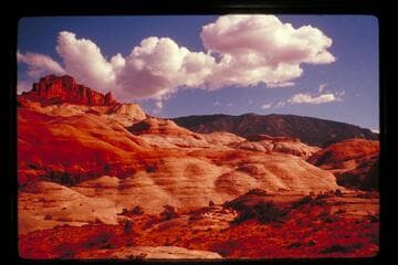 6069 and Navajo Mountain from north of 5014