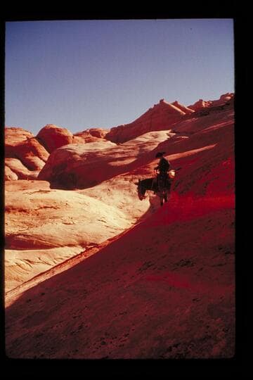 Trail from Black Water Creek to Moepitz