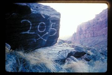 The 205 and cross-bones opposite Range Canyon
