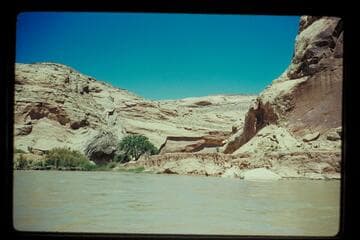 Mouth Butler Wash, San Juan River
