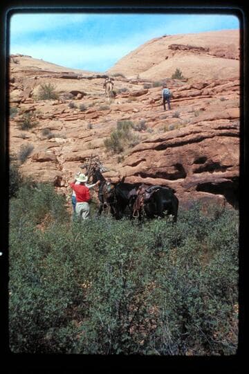 Trail up out of Nasja Creek