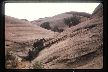 Trail out of Nasja Creek