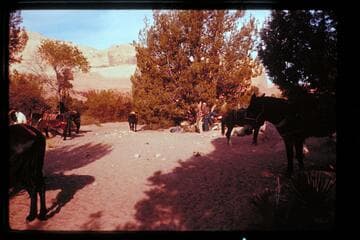 Camp, Surprise Valley