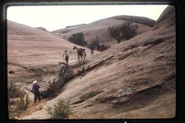 Slick-rock trail out of Nasja Creek
