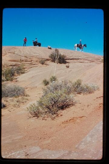Bald Rock east of northeast fork of 73