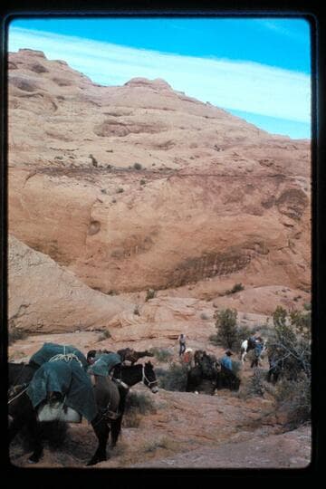 Slickrock Trail west of Nasja Creek