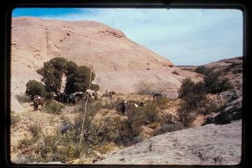 Base camp north of 73