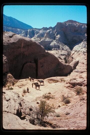 Head of northeast fork of 73