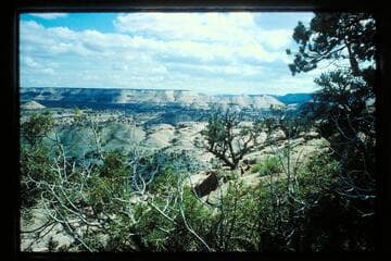 Horseshoe Canyon; Horsethief Trail