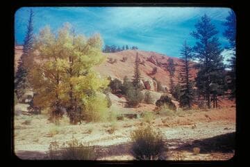 Utah